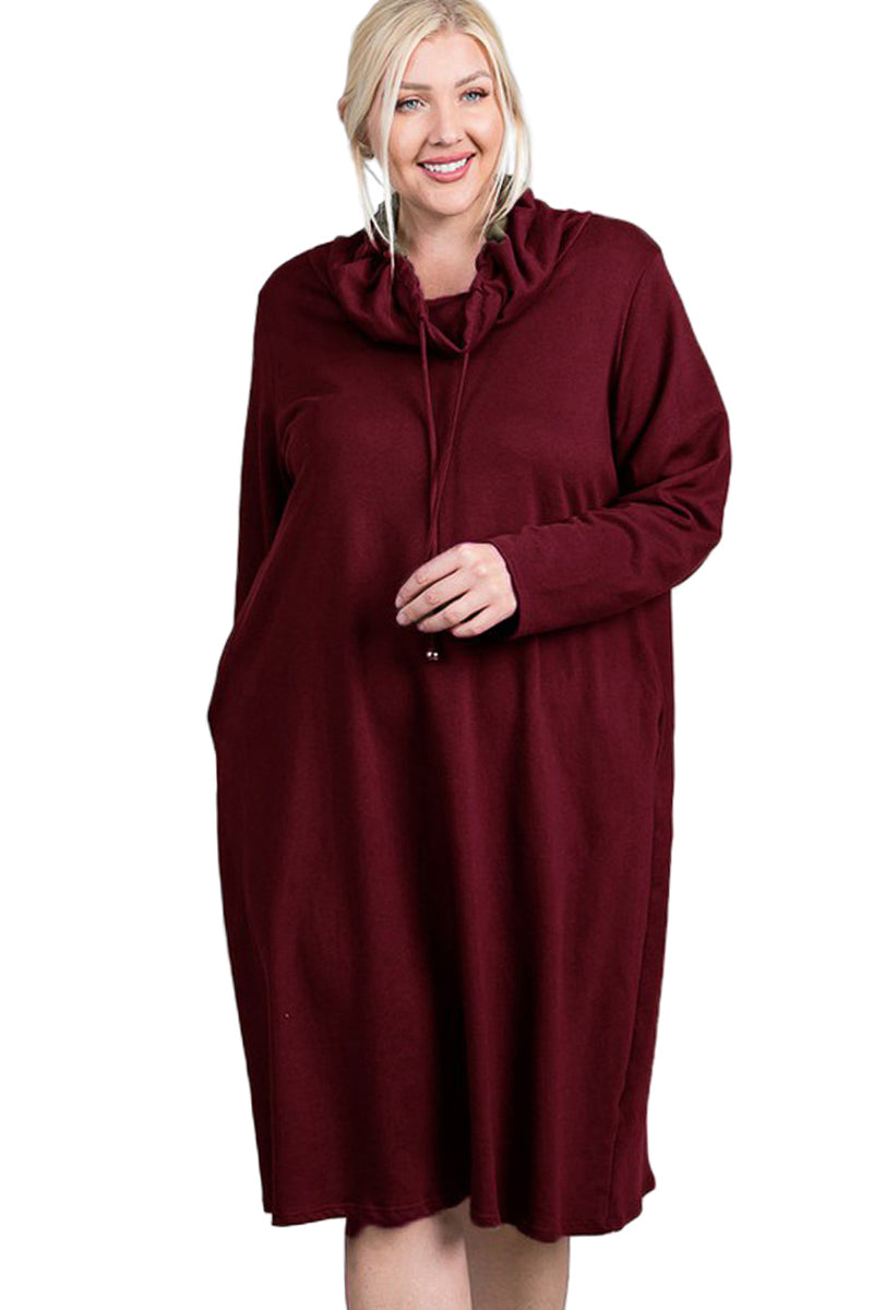Turtleneck Long Sleeve Dress Plus Size