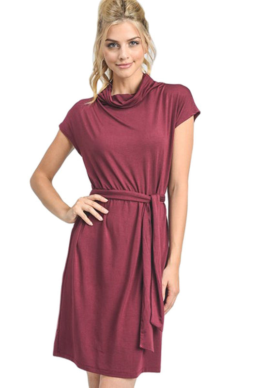 Drape Neck Dress with Belt